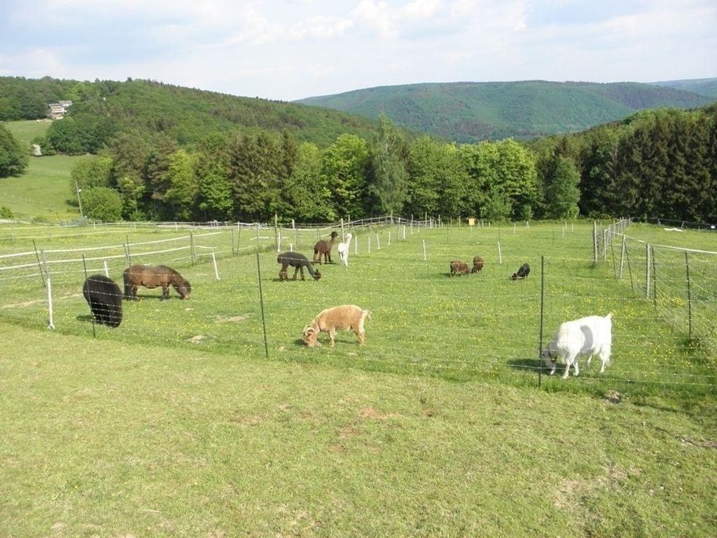 Ferienwohnung Rurseeidyll