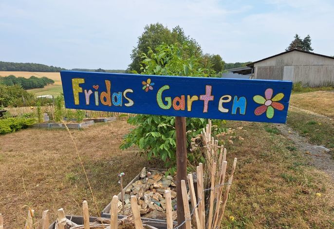 Bild 19