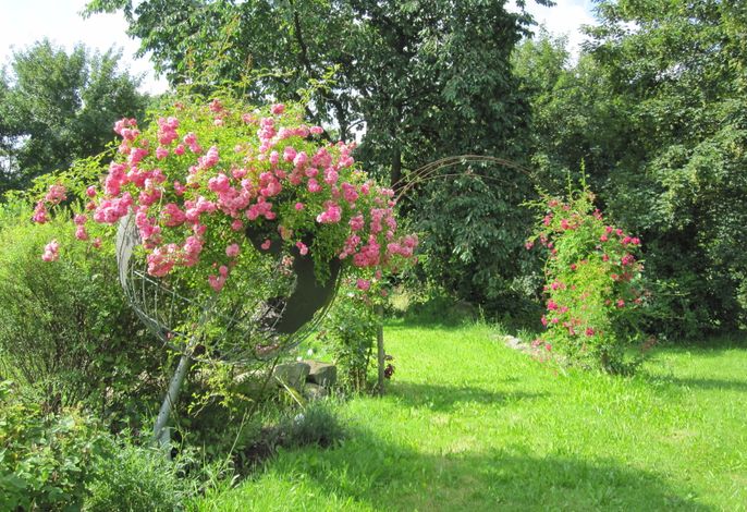 Bild 13