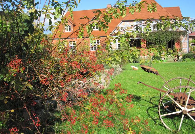 Bild 10