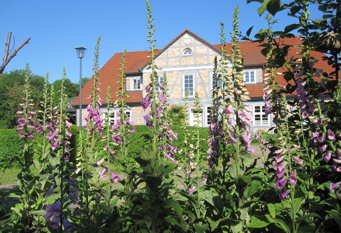 Hauptbild