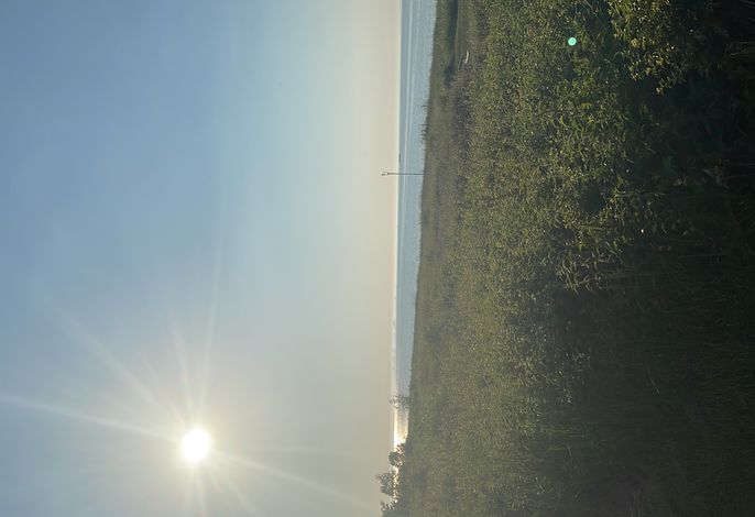 Photo Seesternchen 2