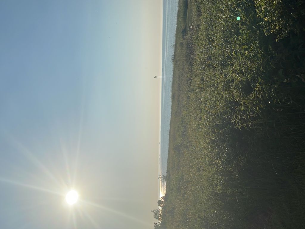 Seesternchen
