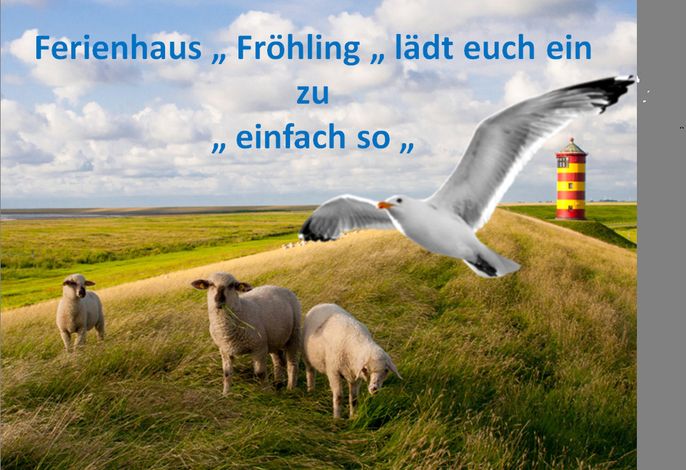 Bild 28