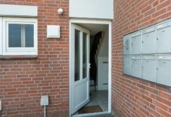 Bild 19