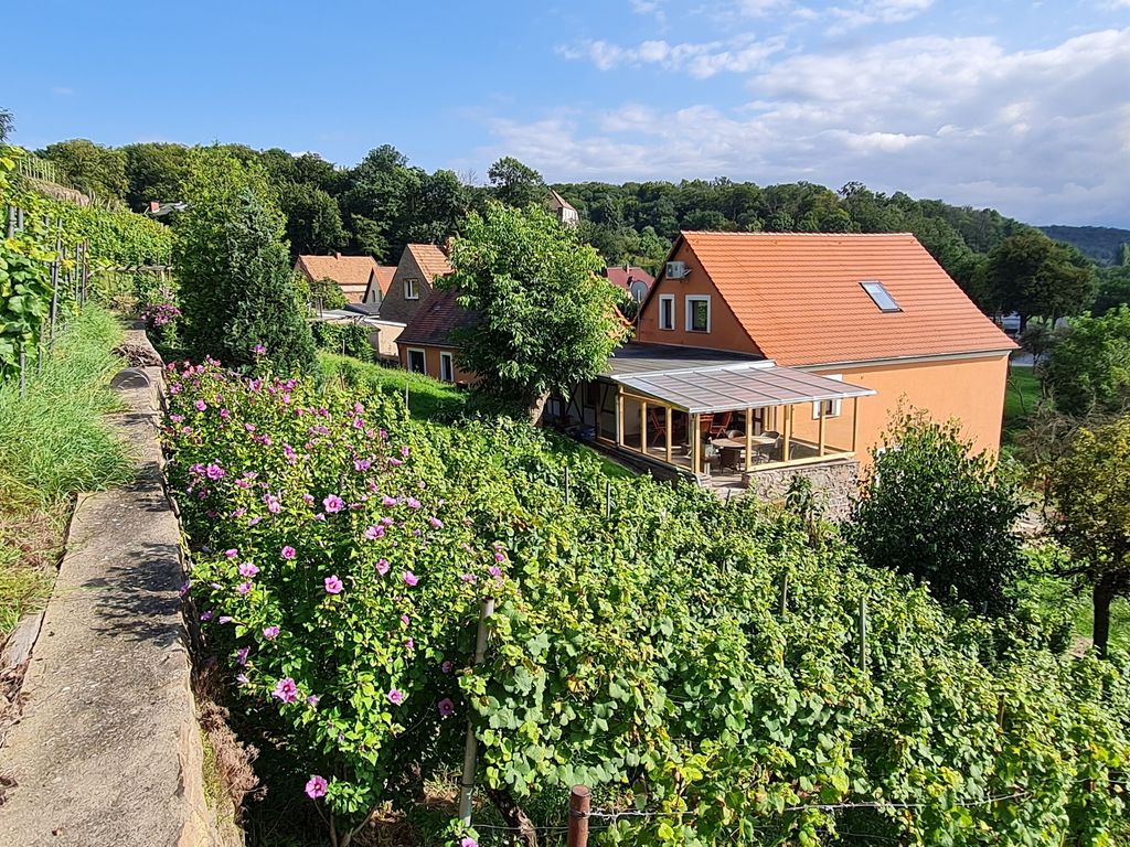 Ferienwohnung Scheurebe