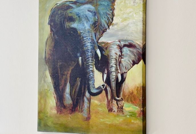 Bild 31