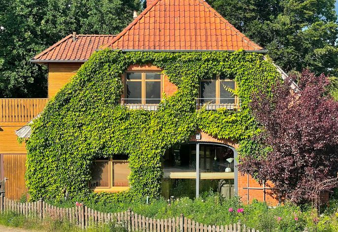 Bild 39
