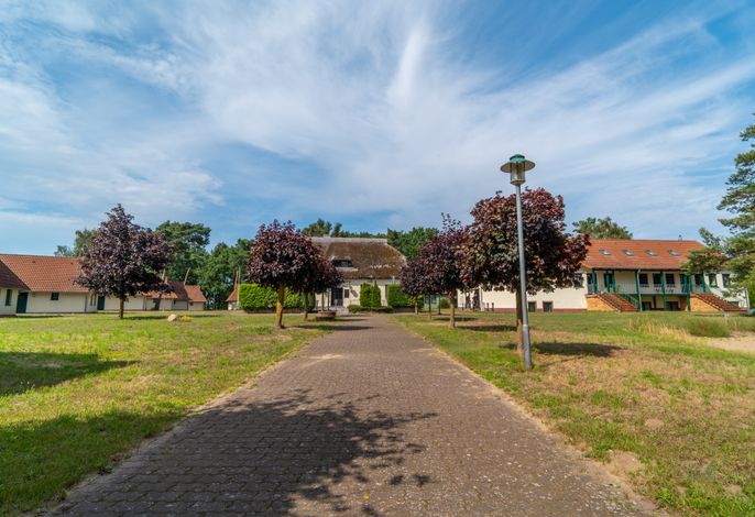 Bild 13