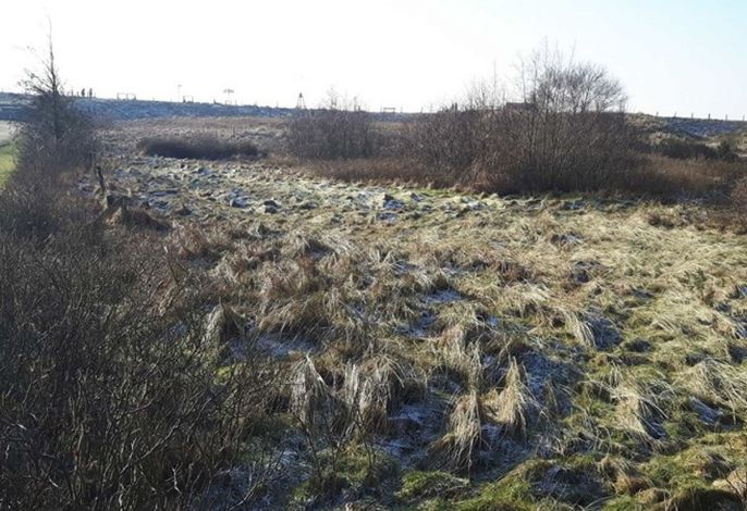 Bild 16