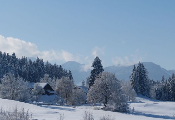 Ferienhaus – Foto 5