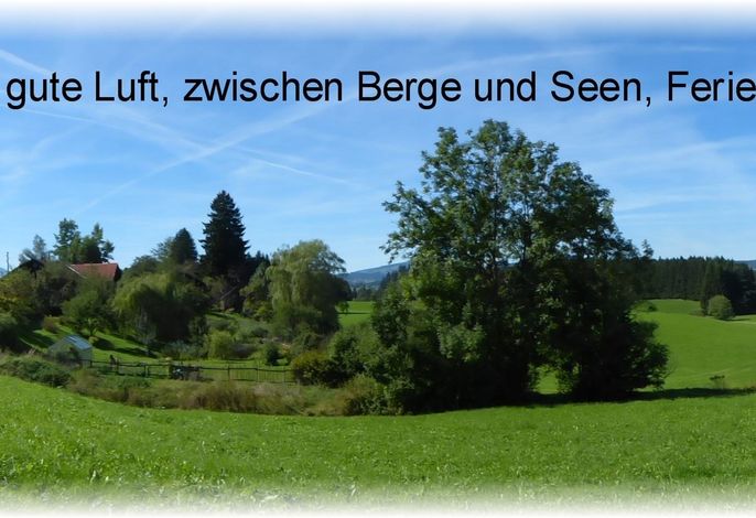 Bild 40