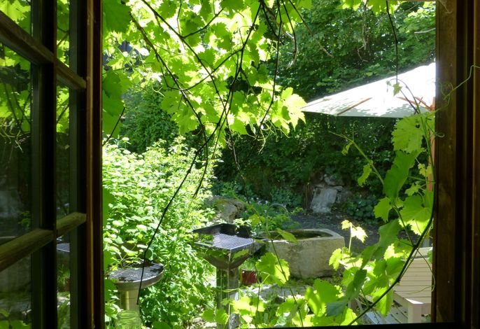 Bild 10