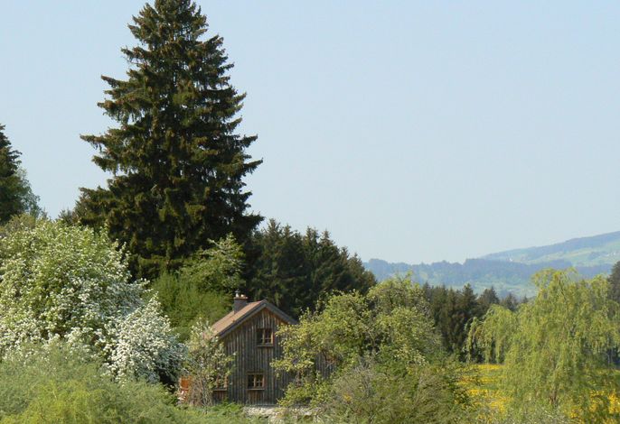 Bild 32