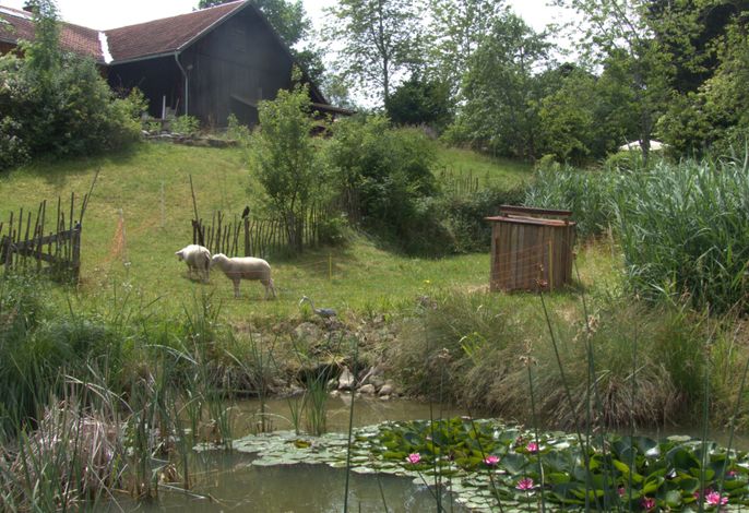 Bild 34
