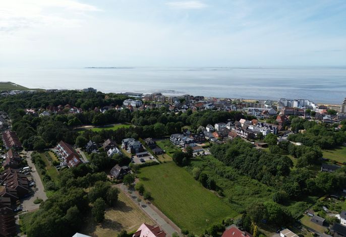 Bild 19