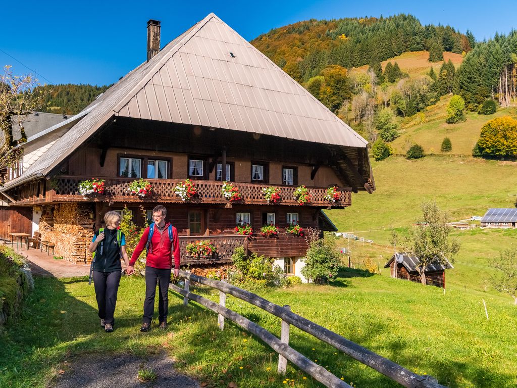 Schwarzwaldhaus - Fewo Schwarzwaldtanne, St. Blasien - Menzenschwand