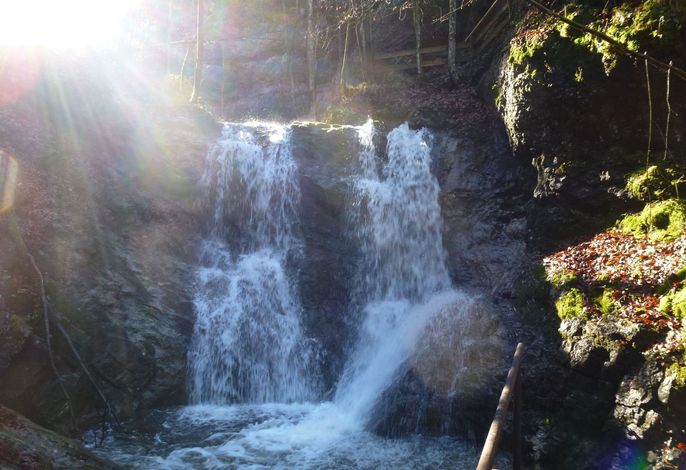 Bild 19