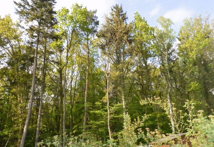 Bild 14