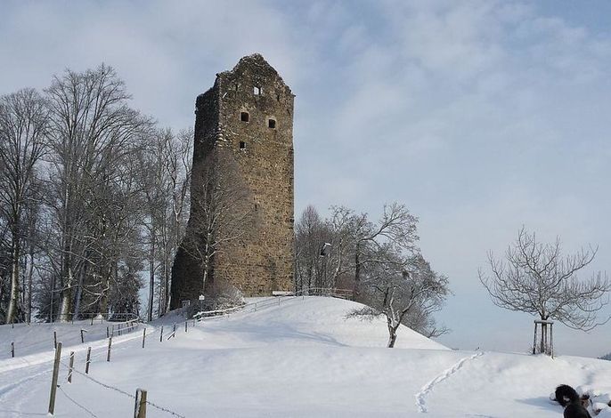 Bild 16