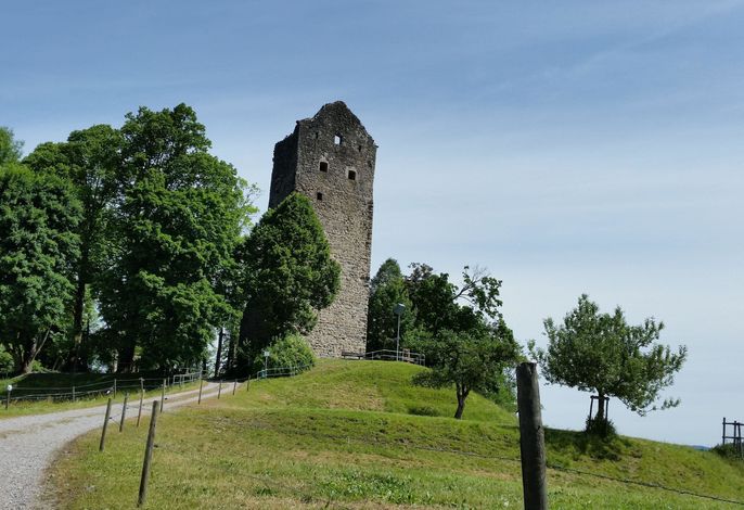 Bild 12