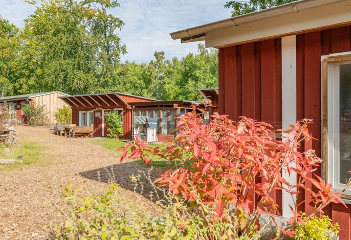Bild 50