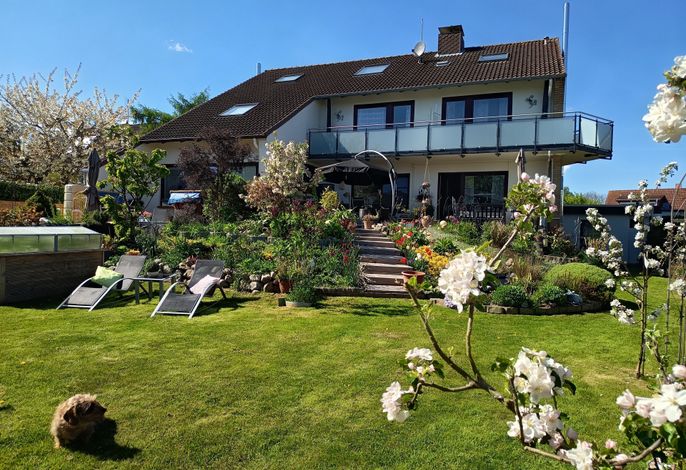 Gästehaus Zur Seemöwe, Fewo 7, "Strandkorb" – Foto 1