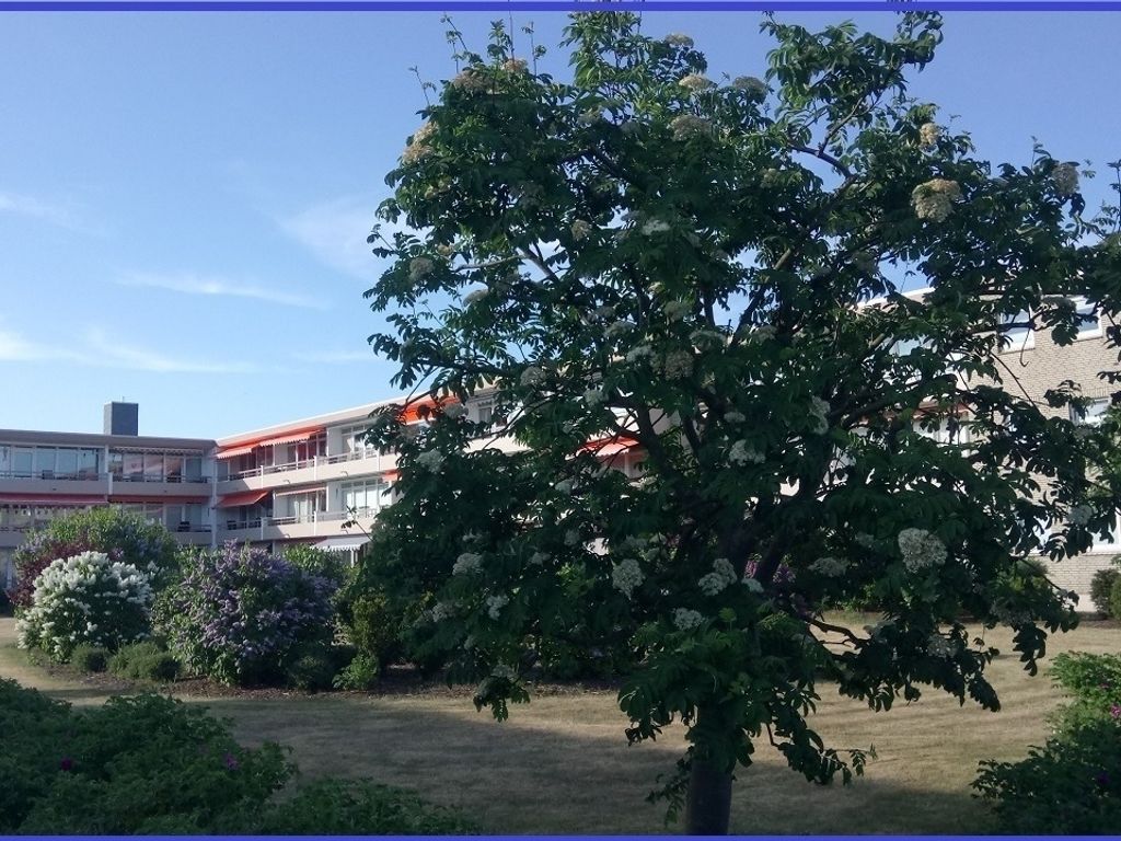 Bonnas Ostsee Oase  - Haus Baltic - Whg. 180 - inkl. Saisonstrandkorb