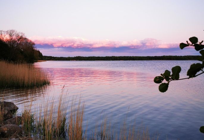 Bild 18