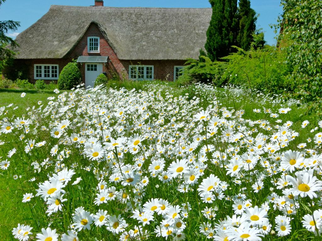 Ferienhaus Finkenbusch