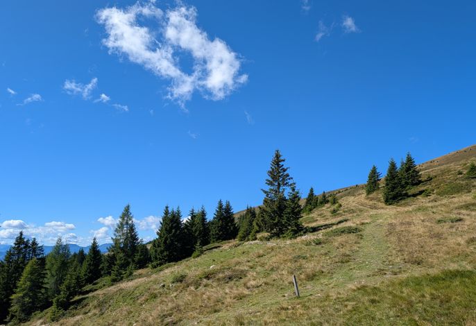 Bild 22