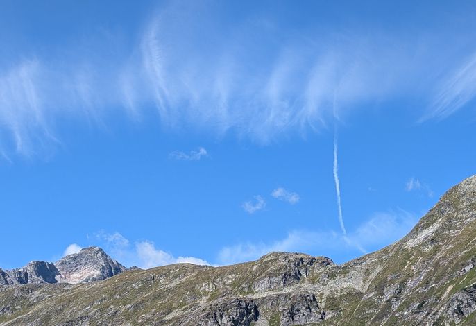 Bild 31