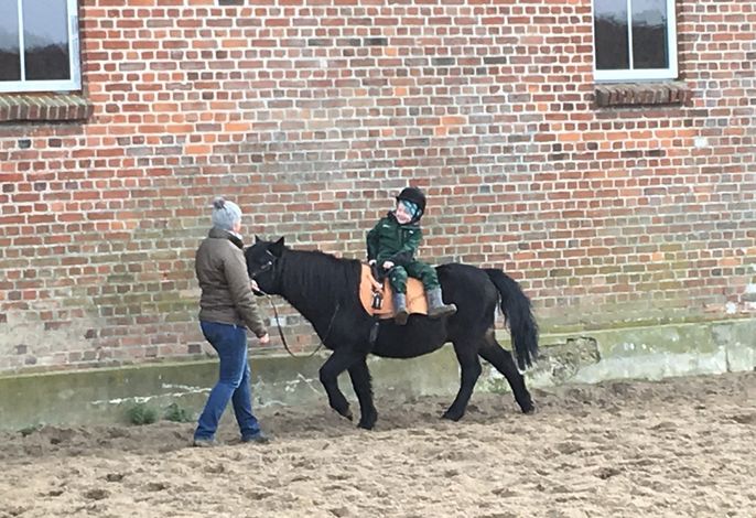 Bild 15