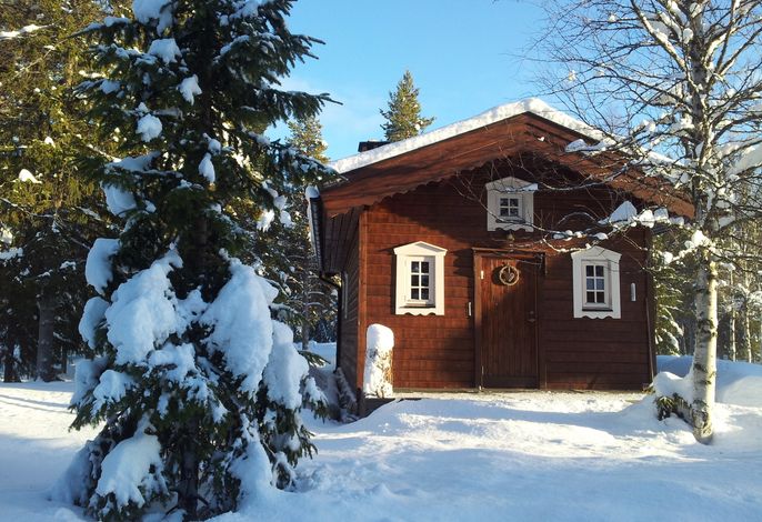 Bild 15