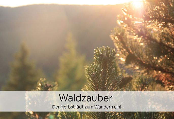 Bild 16