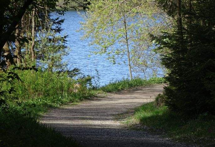 Bild 15