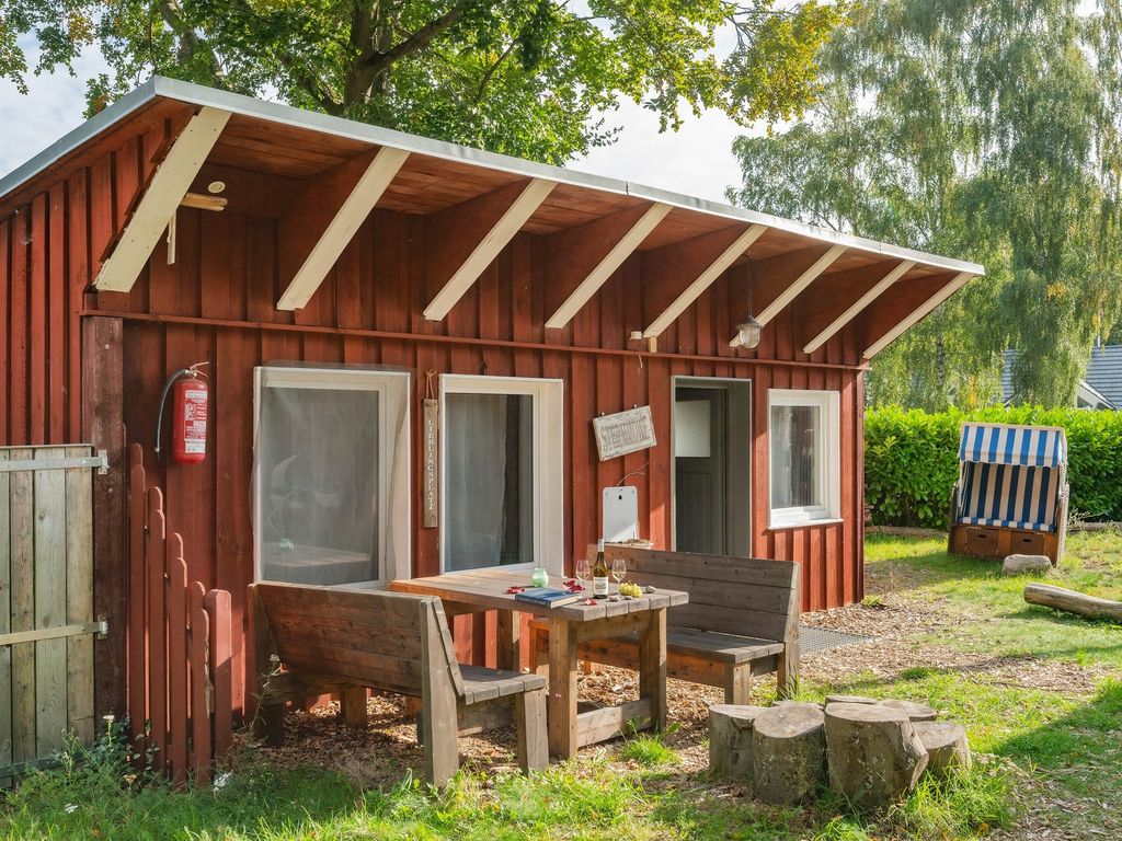 Sturmmöwe