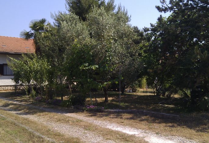 Ferienhaus mit Parkplatz Valbandon, Fazana - 11172 – Foto 3