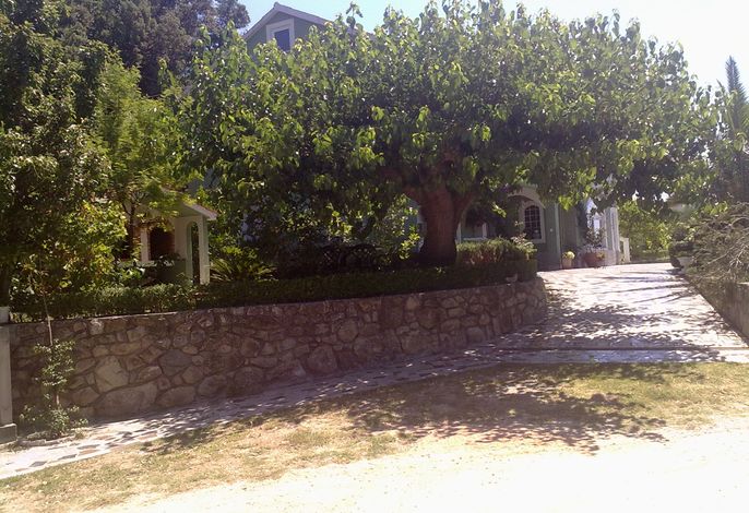 Bild 9