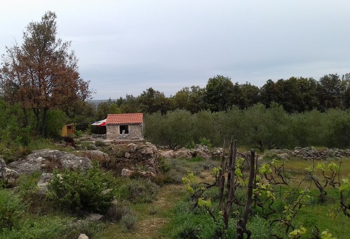 Bild 14
