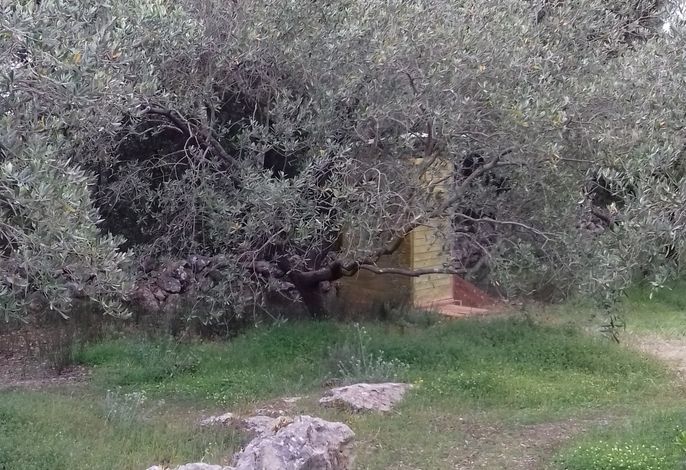 Bild 12