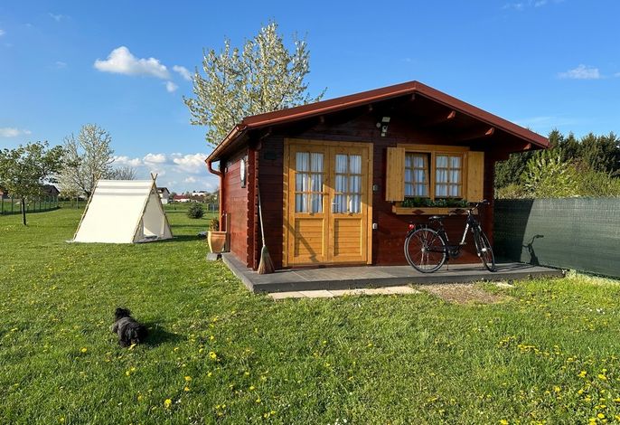 Bild 8