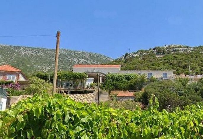 Ferienwohnungen mit Internet Postup, Peljesac - 23780
