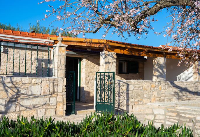Ferienhaus mit Parkplatz Bucht Pelegrin, Korcula - 23866 – Foto 2