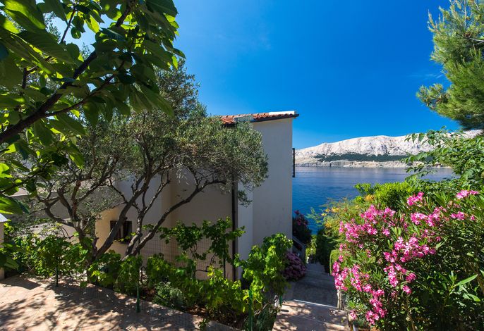 Ferienwohnungen mit Parkplatz Baska, Krk - 23918 – Foto 3