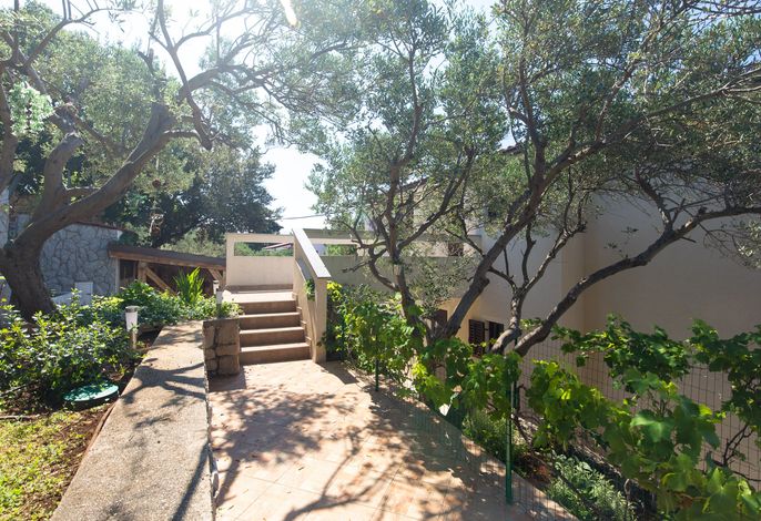 Ferienwohnungen mit Parkplatz Baska, Krk - 23918 – Foto 4