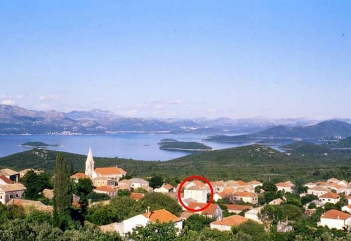 Hauptbild
