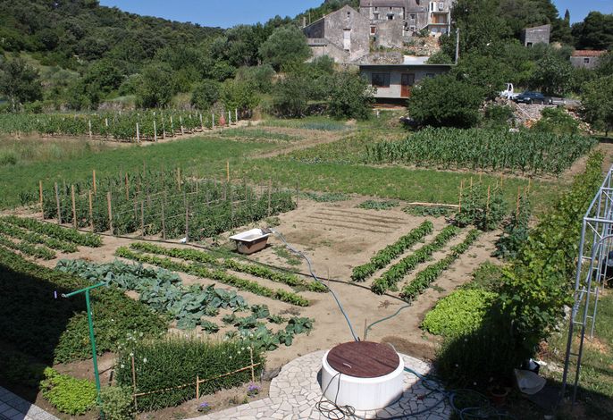 Bild 11