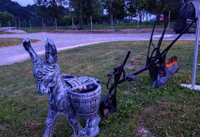 Bild 12