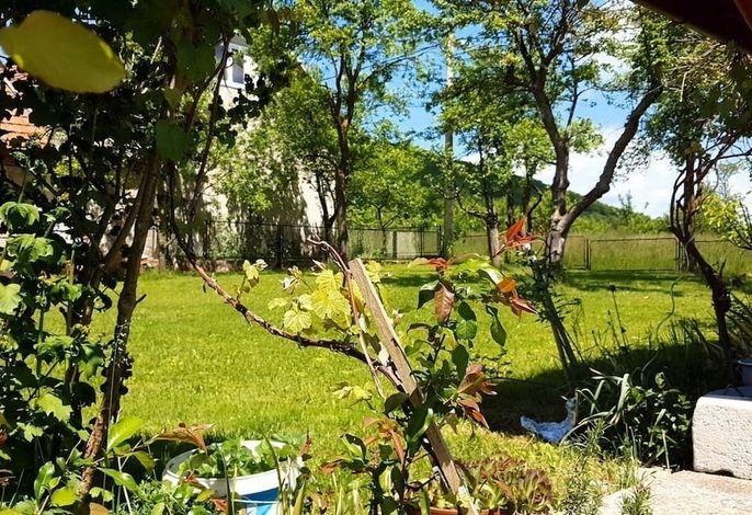 Bild 13